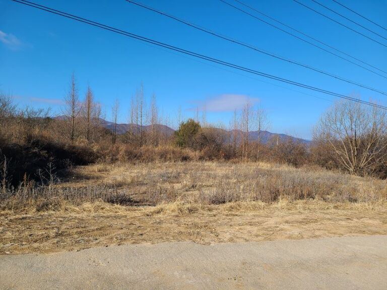 국토정중앙면 구암리   매매 7,000만원,  전 271평,  계획관리